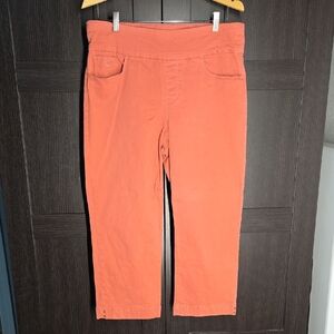 Gloria Vanderbilt Coral Slimming Pants